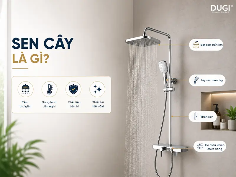 Sen cây là gì?